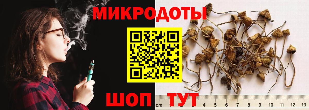 Галлюциногенные грибы мицелий Советский